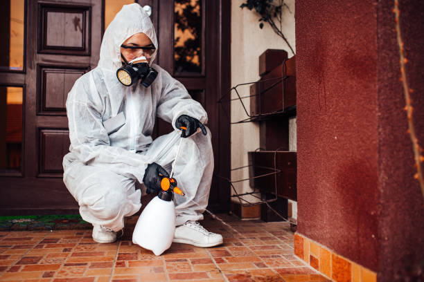 Reliable Wasp Removal contractor in Roanoke, VA by Show Me Pest Control